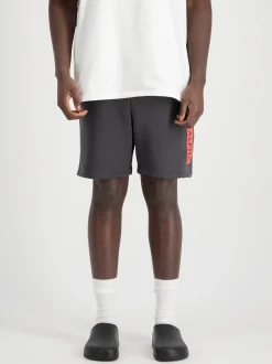Alpha Industries Herren Kurze Hose in grau
