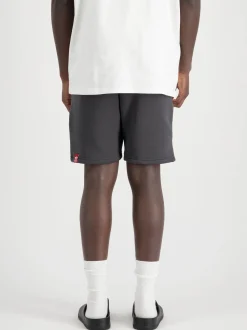 Alpha Industries Herren Kurze Hose in grau