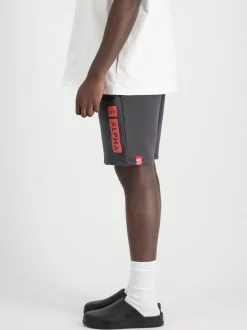 Alpha Industries Herren Kurze Hose in grau