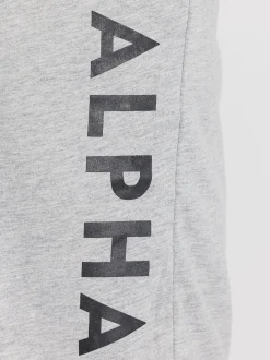 Alpha Industries Herren Sweatshorts in grau