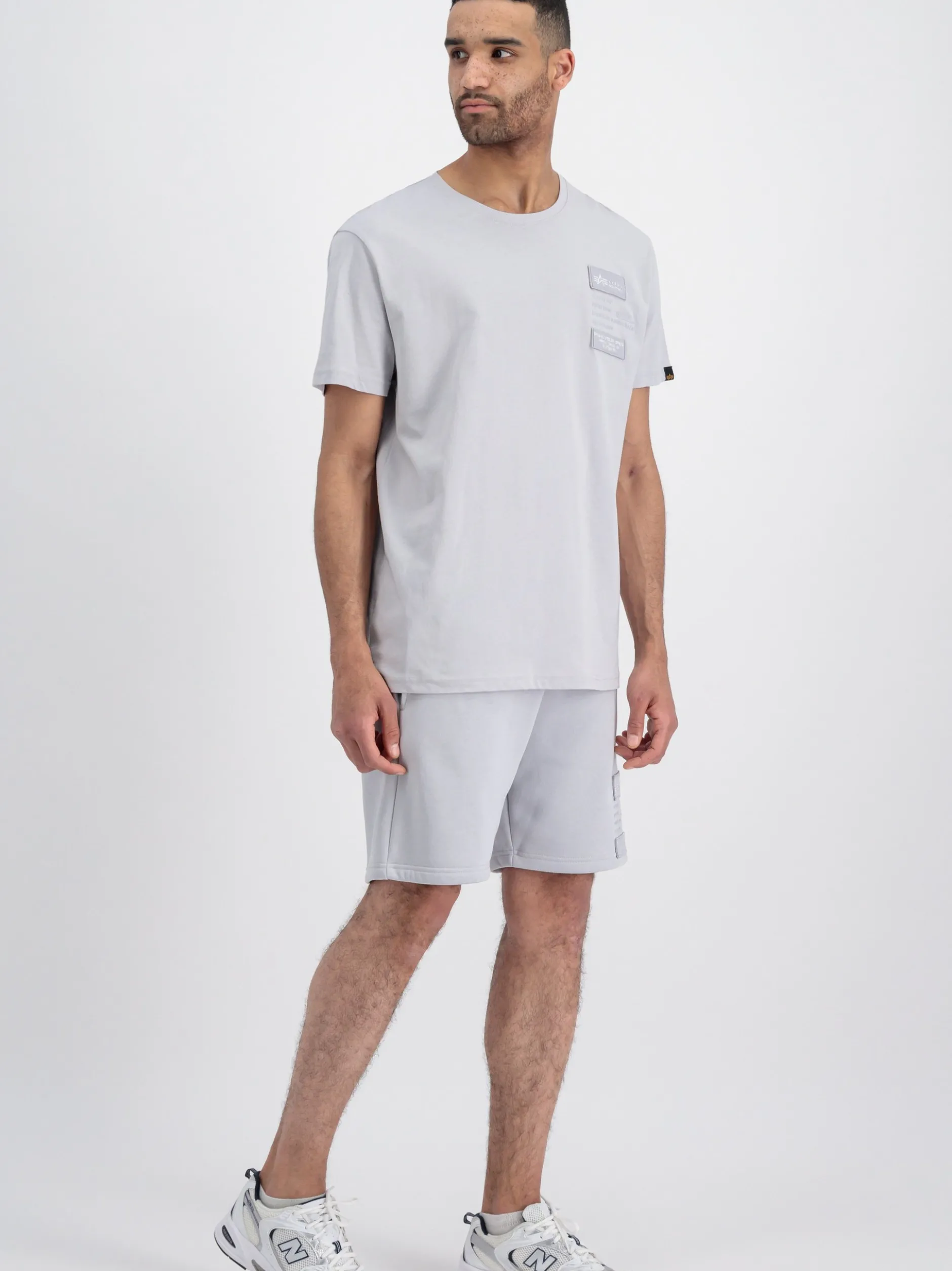 Alpha Industries Herren T-Shirt in hellgrau