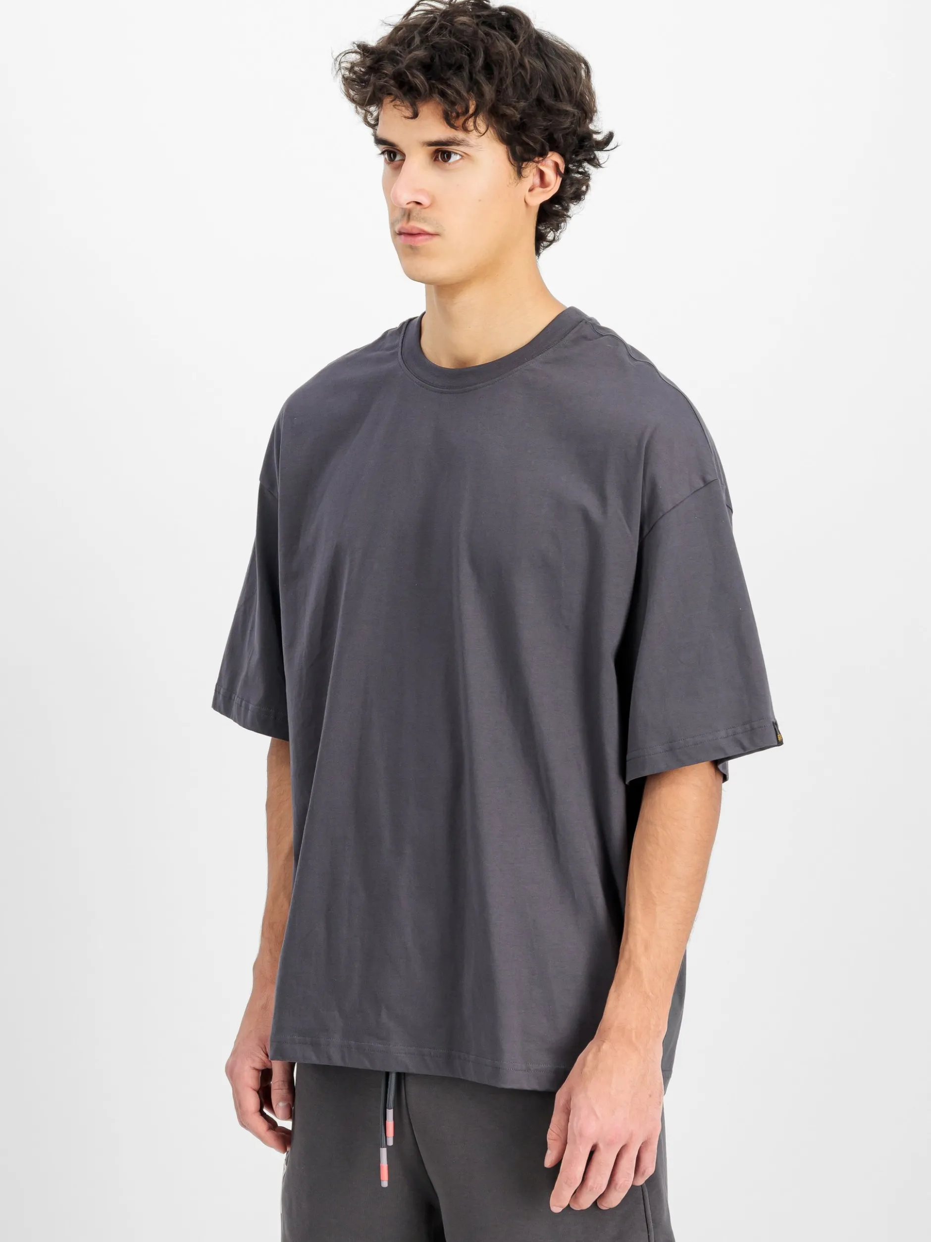 Alpha Industries Herren T-Shirt in grau