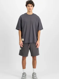 Alpha Industries Herren T-Shirt in grau