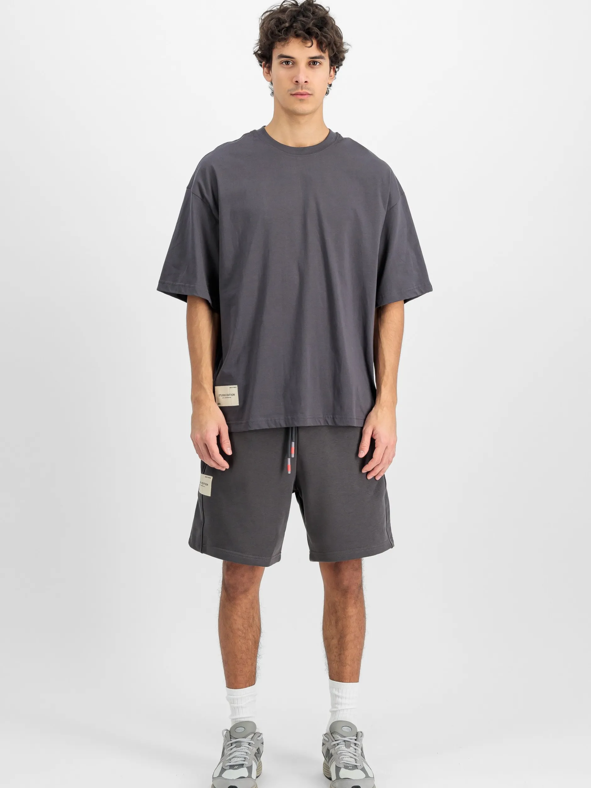 Alpha Industries Herren T-Shirt in grau