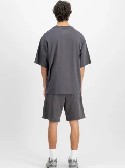 Alpha Industries Herren T-Shirt in grau