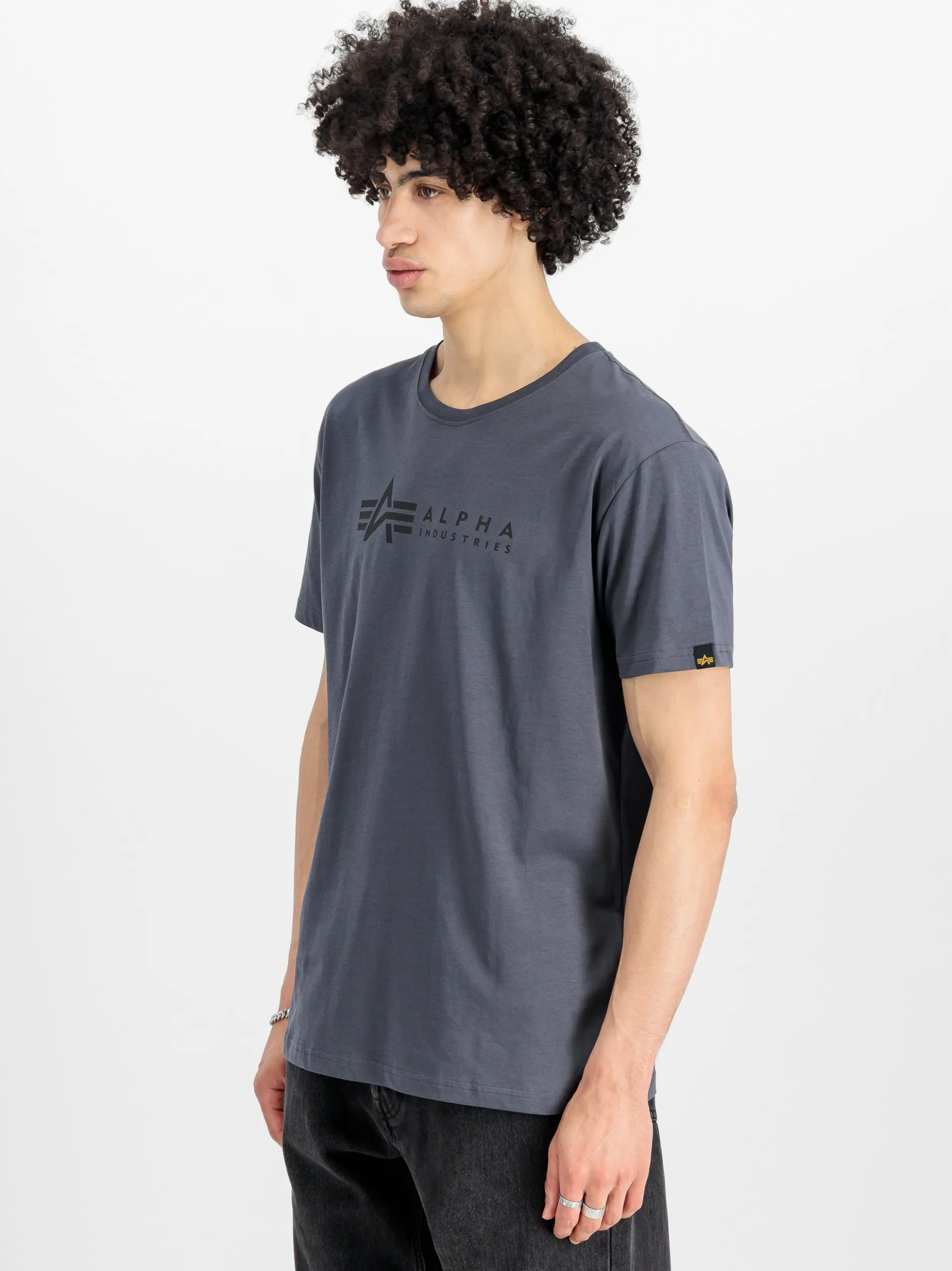 Alpha Industries Herren T-Shirt in grau