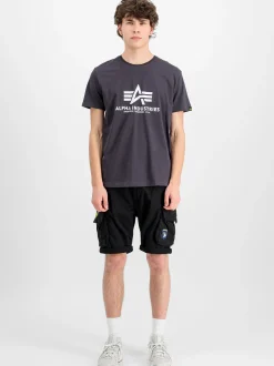 Alpha Industries Herren T-Shirt in grau
