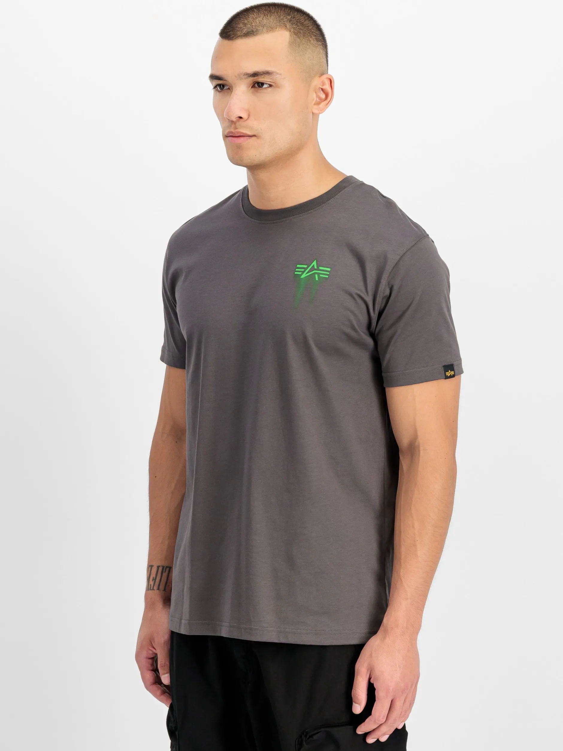 Alpha Industries Herren T-Shirt in grau
