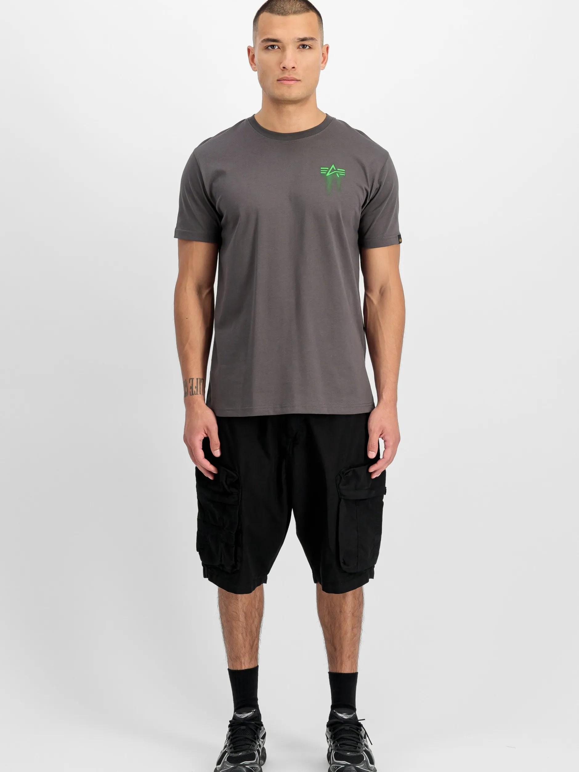 Alpha Industries Herren T-Shirt in grau