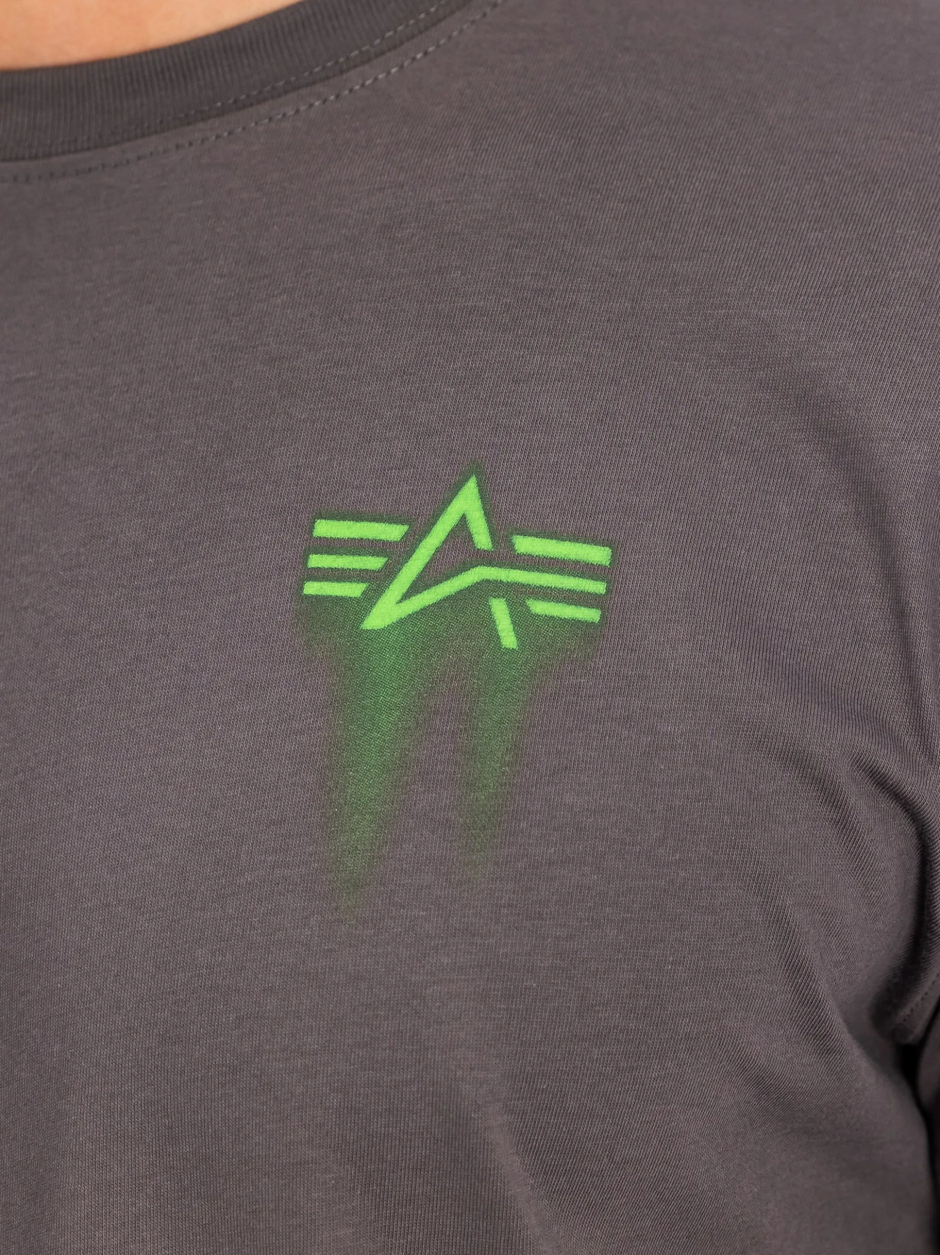 Alpha Industries Herren T-Shirt in grau