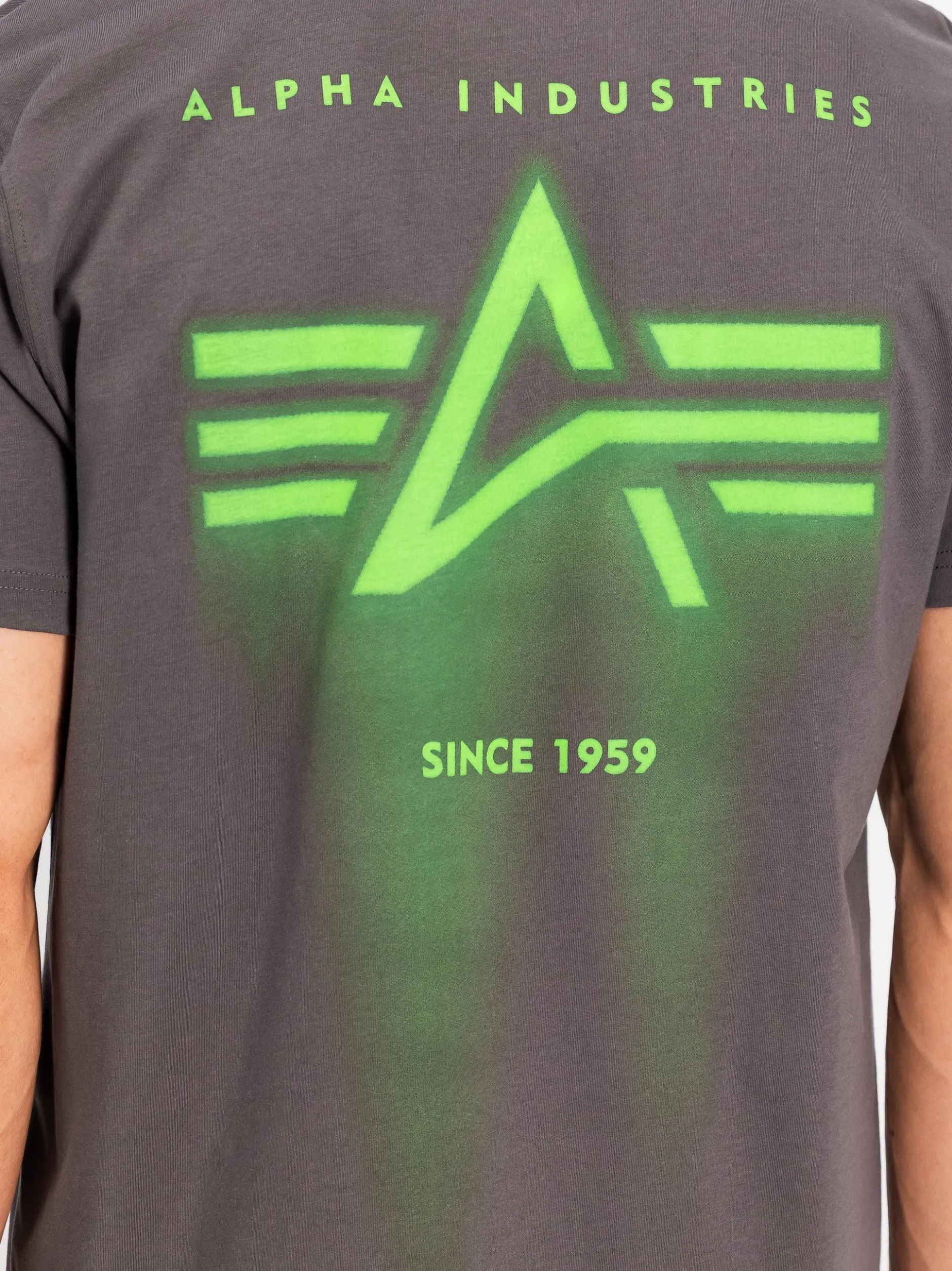 Alpha Industries Herren T-Shirt in grau