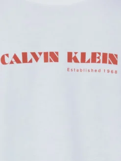 Calvin Klein Jeans Herren T-Shirt in weiß terra