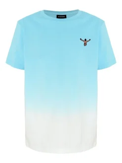 Chiemsee Jungen T-Shirt in blau weiß - Ärmel: kurzarm
