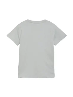 ColorKids Jungen Shirt - COT-shirt W. Print in grau