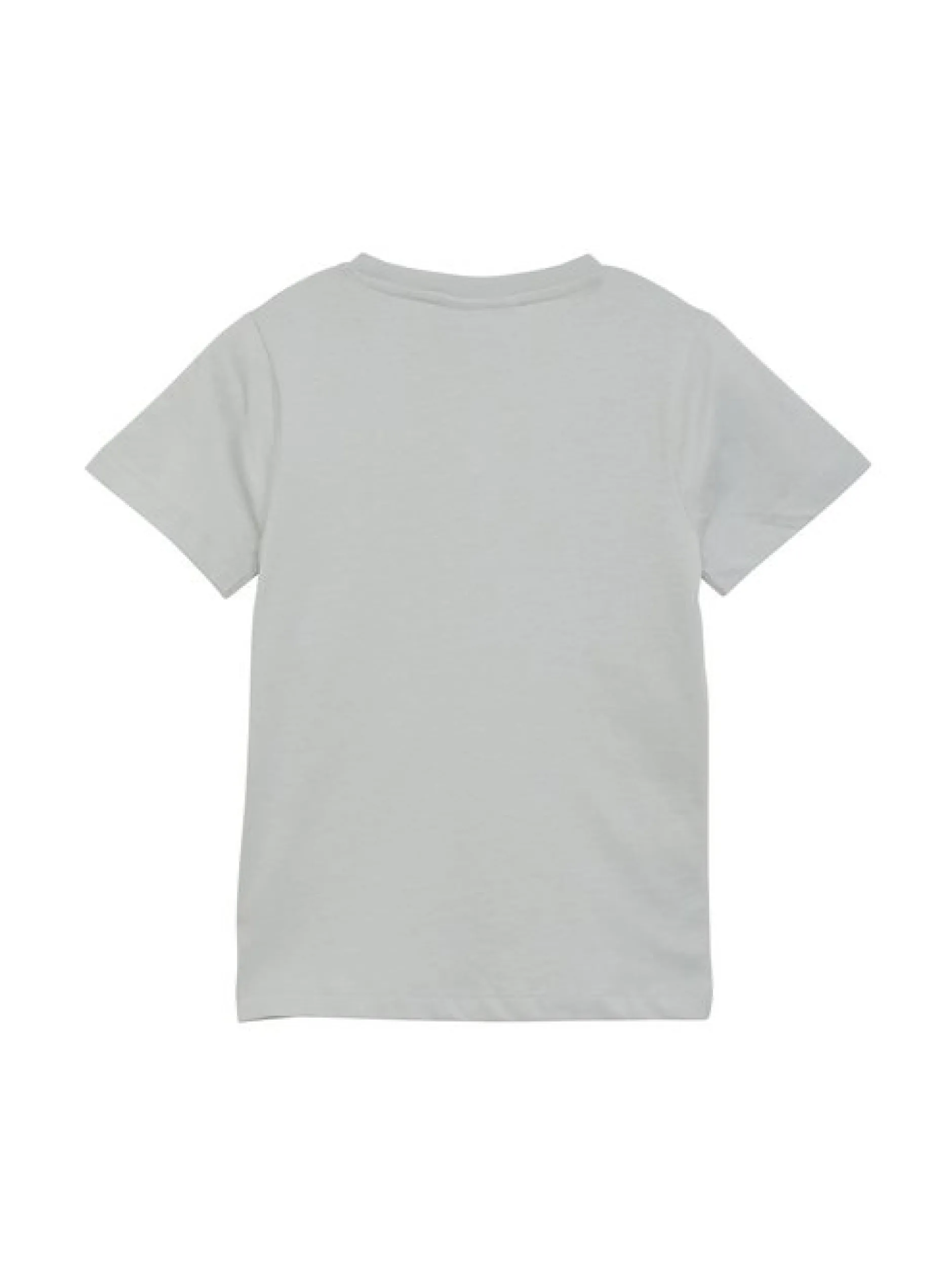 ColorKids Jungen Shirt - COT-shirt W. Print in grau