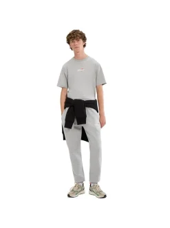 ellesse Herren T-Shirt in hellgrau - Ärmel: kurzarm