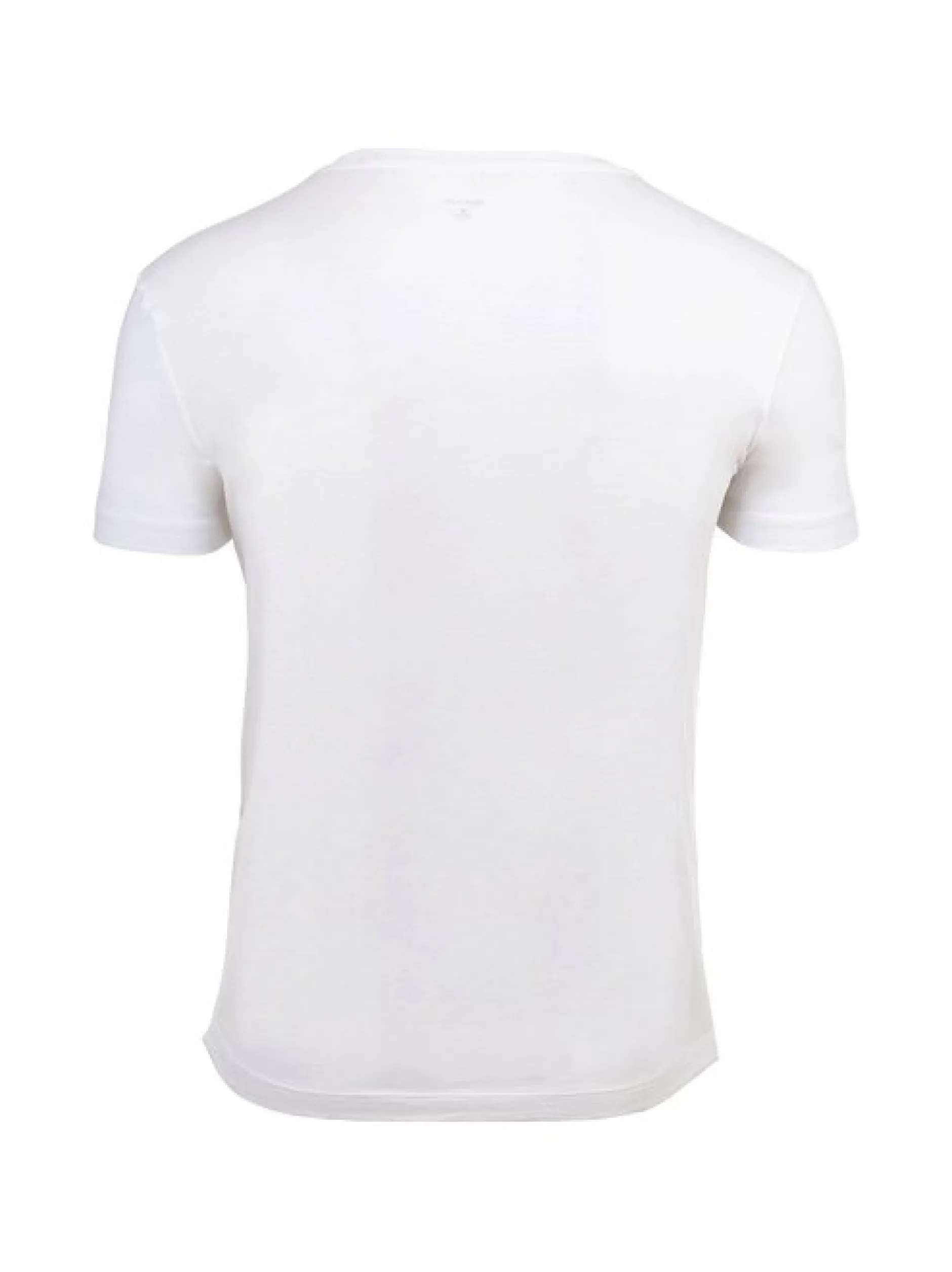 Gant Herren T-Shirt 2er Pack in grün weiß