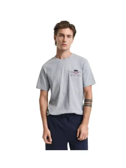 Gant Herren T-Shirt in grau - Ausschnitt: Rundhals