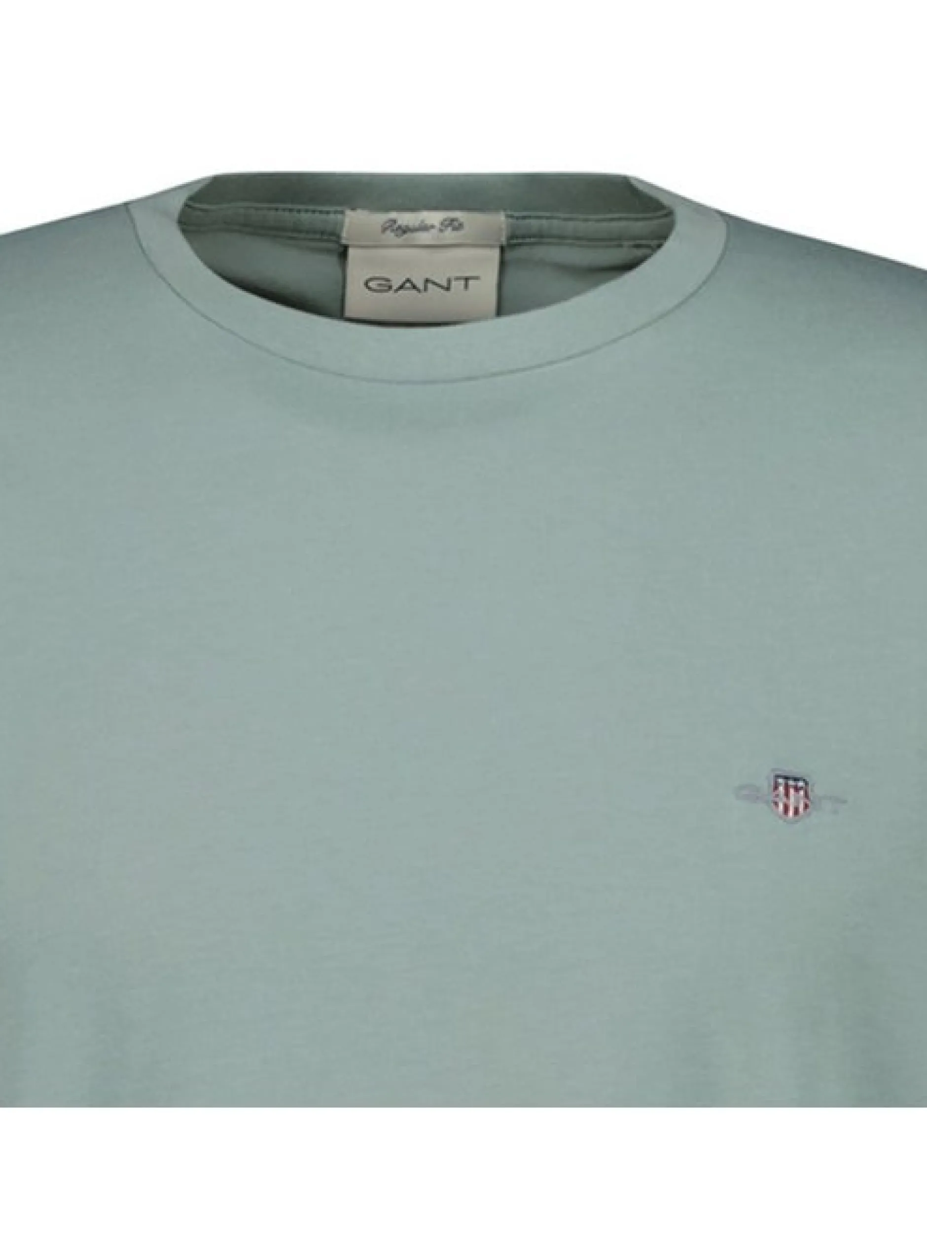 Gant Herren T-Shirt in grün - Ausschnitt: Rundhals
