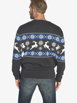 Jan Vanderstorm Herren Pullover - TORE in grau