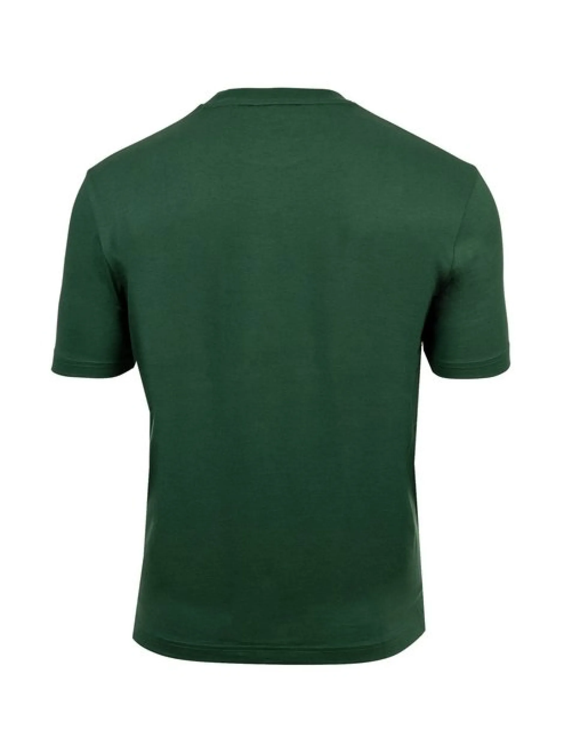 Lacoste Herren T-Shirt in grün - Ausschnitt: Rundhals