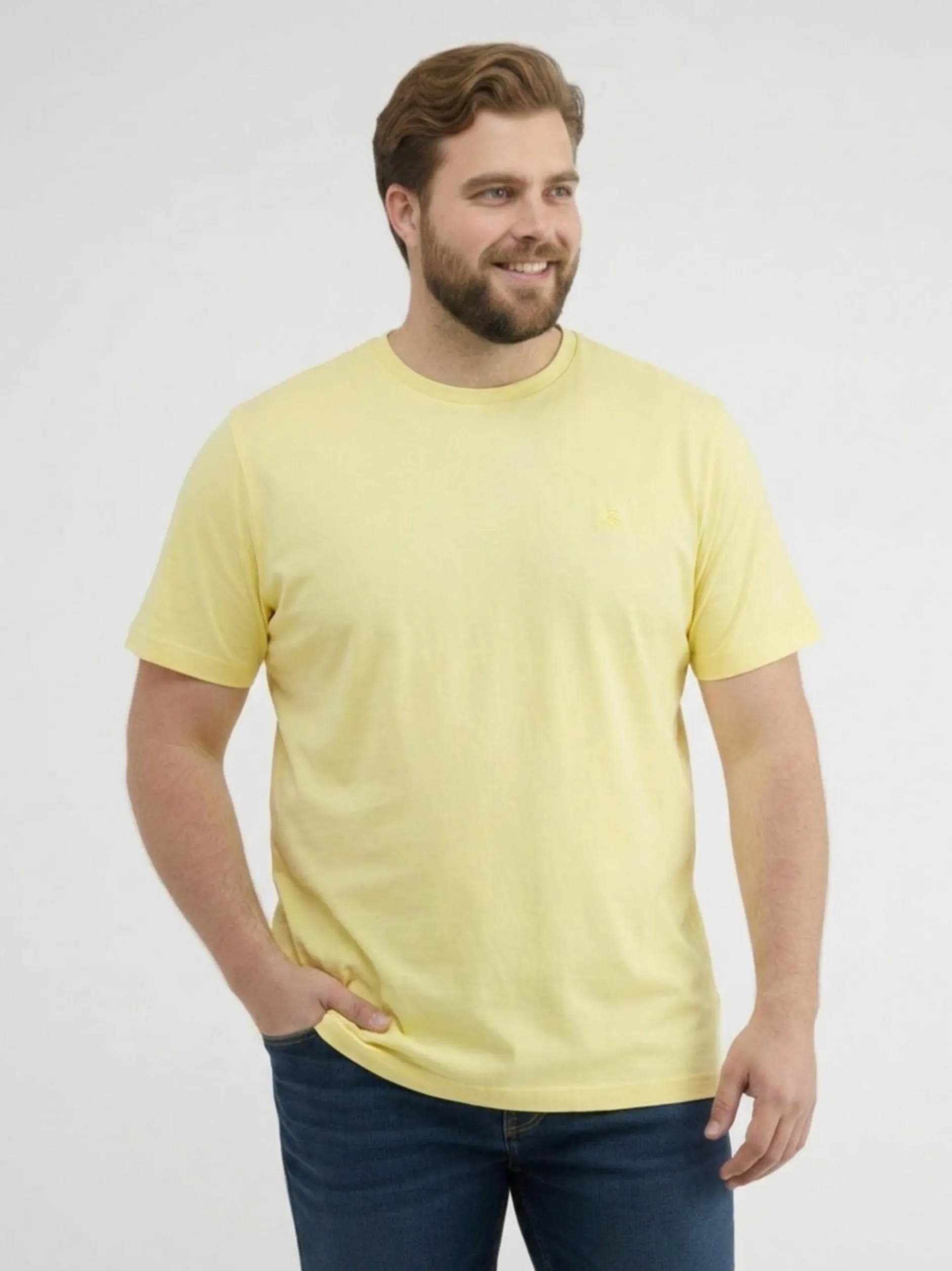 LERROS Herren Rundhalsshirt in gelb