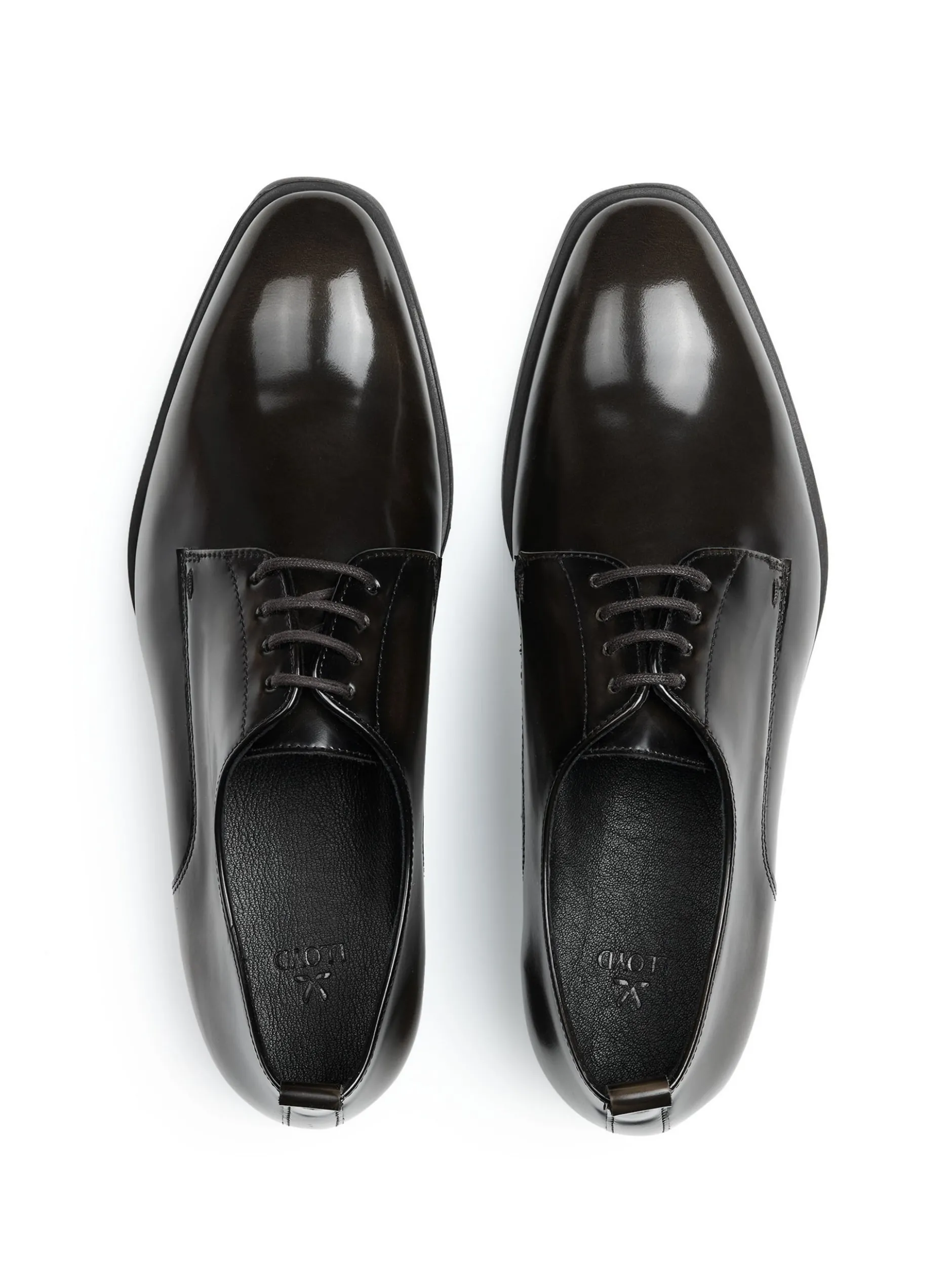 Lloyd Damen Schnürschuh in cognac