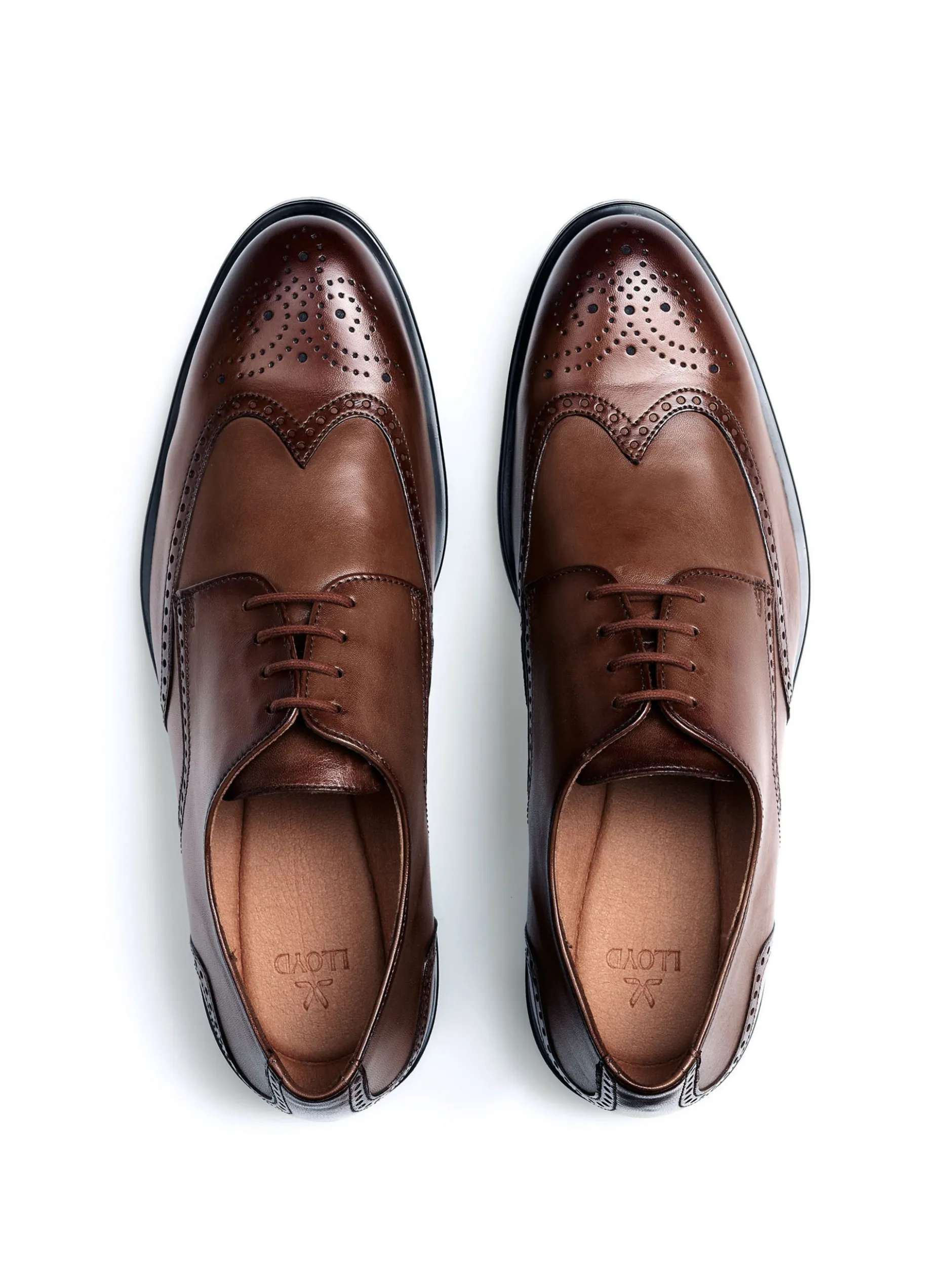 Lloyd Herren Budapester - EEZY 140 in cognac