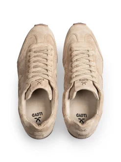 Lloyd Herren Sneaker - VELOCITY M in beige - 0 cm Absatz