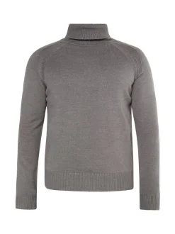 Mo Herren Rollkragenpullover in grau