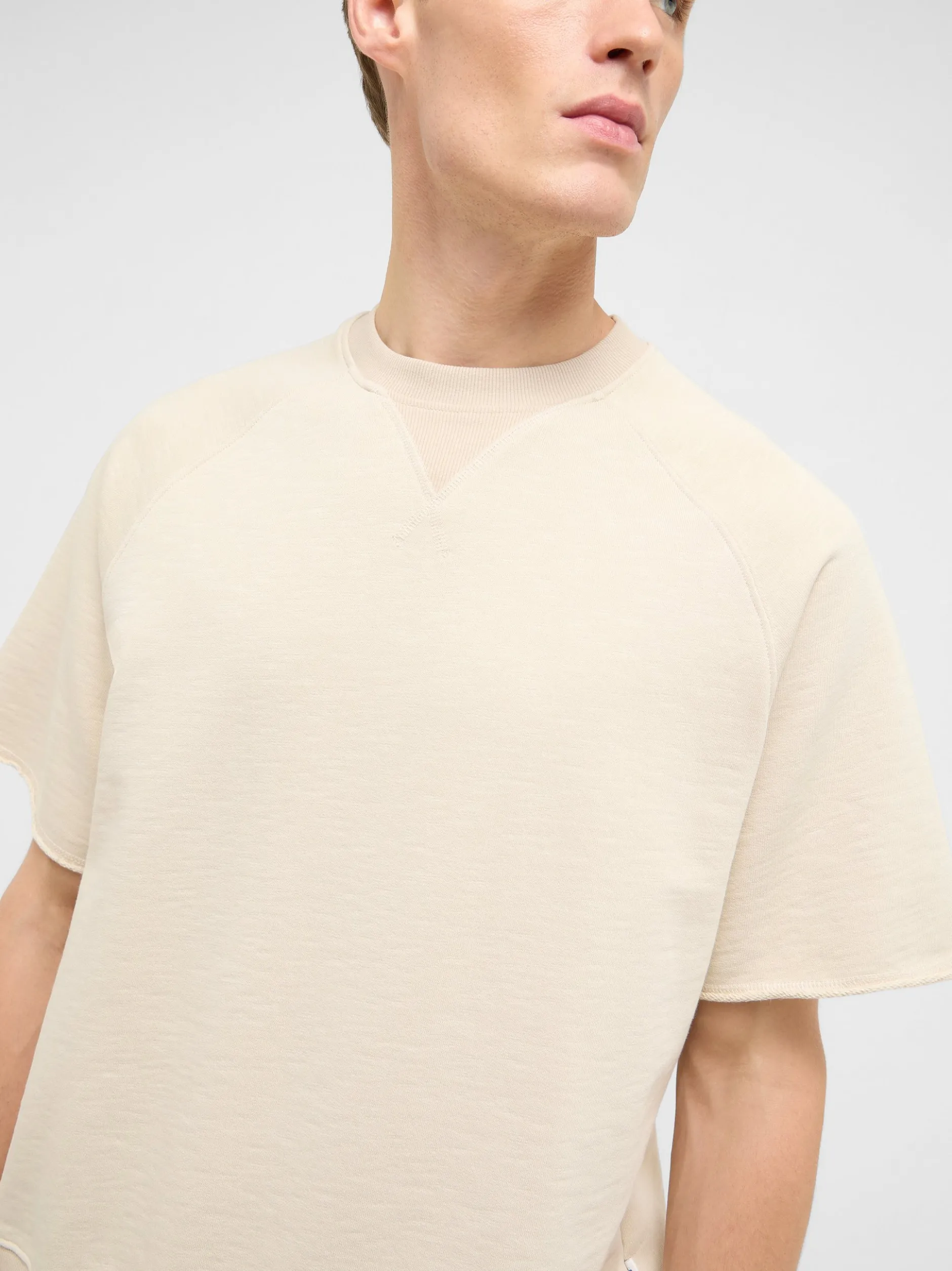 Mustang Herren Shirt in beige - Ausschnitt: Rundhals