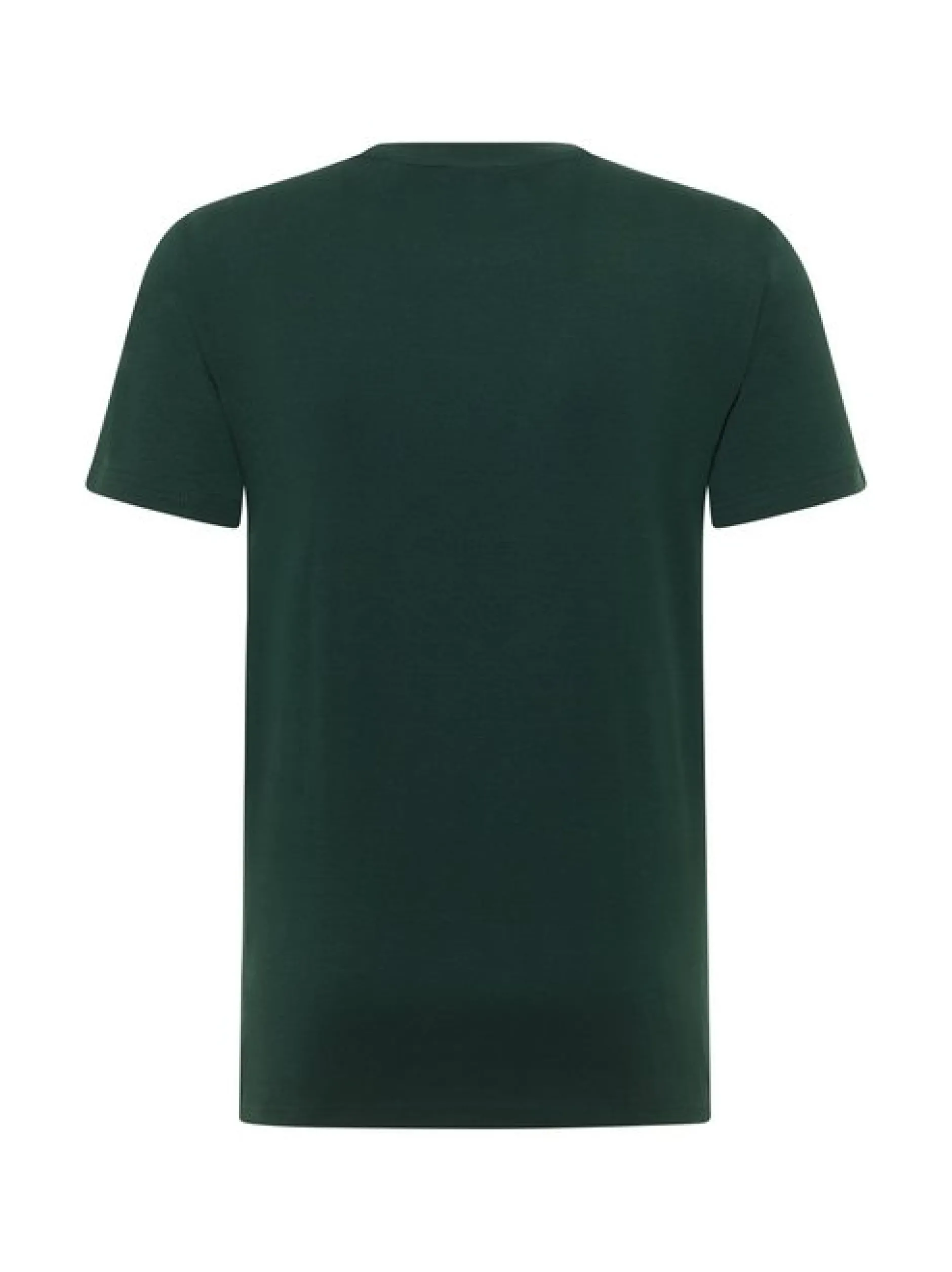 Mustang Herren T-Shirt in grün - Ausschnitt: Rundhals
