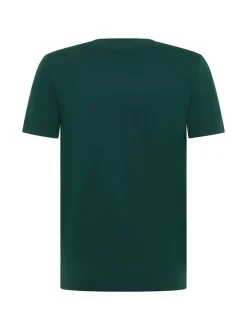Mustang Herren T-Shirt in grün - Ausschnitt: Rundhals