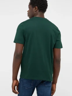 Mustang Herren T-Shirt in grün - Ausschnitt: Rundhals