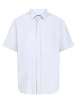 Paddock`s Herren Hemd - Regular Fit in hellgrau