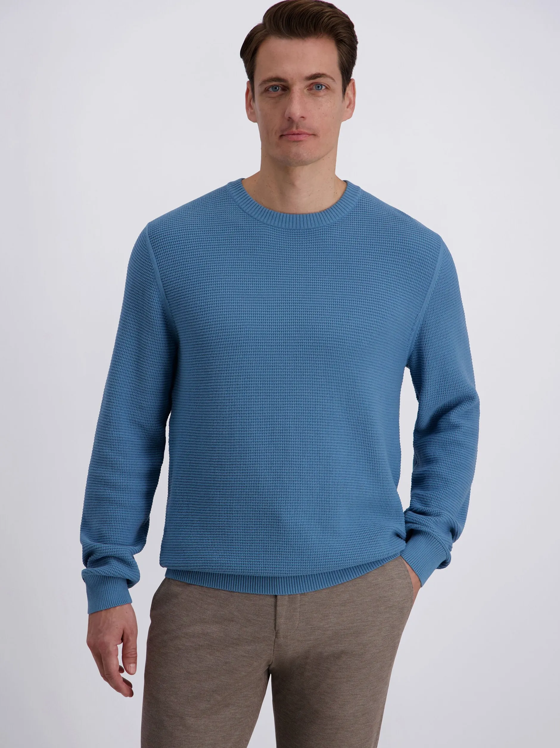 Pierre Cardin Herren Pullover in blau - Ärmel: langarm