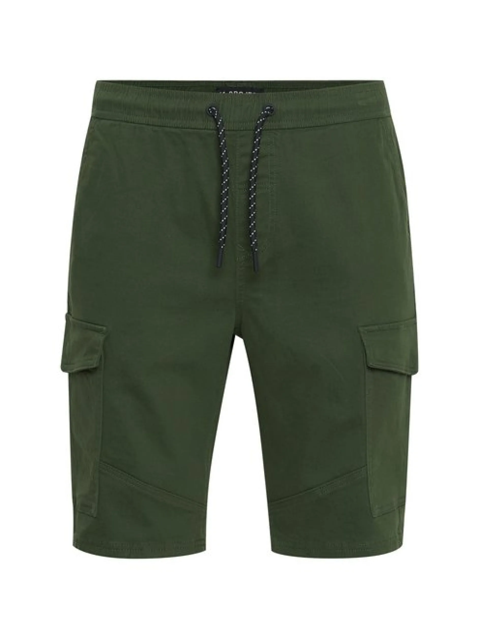 11 Project Herren Cargoshorts - PRGarikko in grün