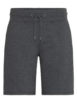 Solid Herren Sweatshorts - SDAigulu in grau
