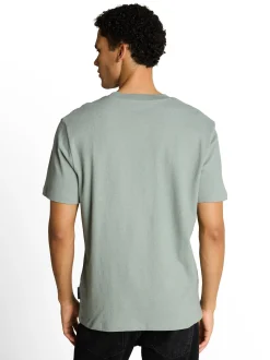 Tom Tailor Denim Herren T-Shirt in mint - Ärmel: kurzarm