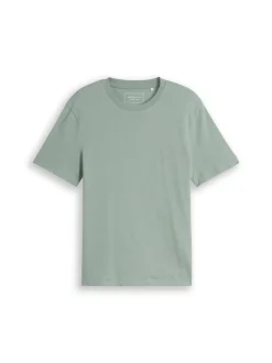 Tom Tailor Denim Herren T-Shirt in mint - Ärmel: kurzarm