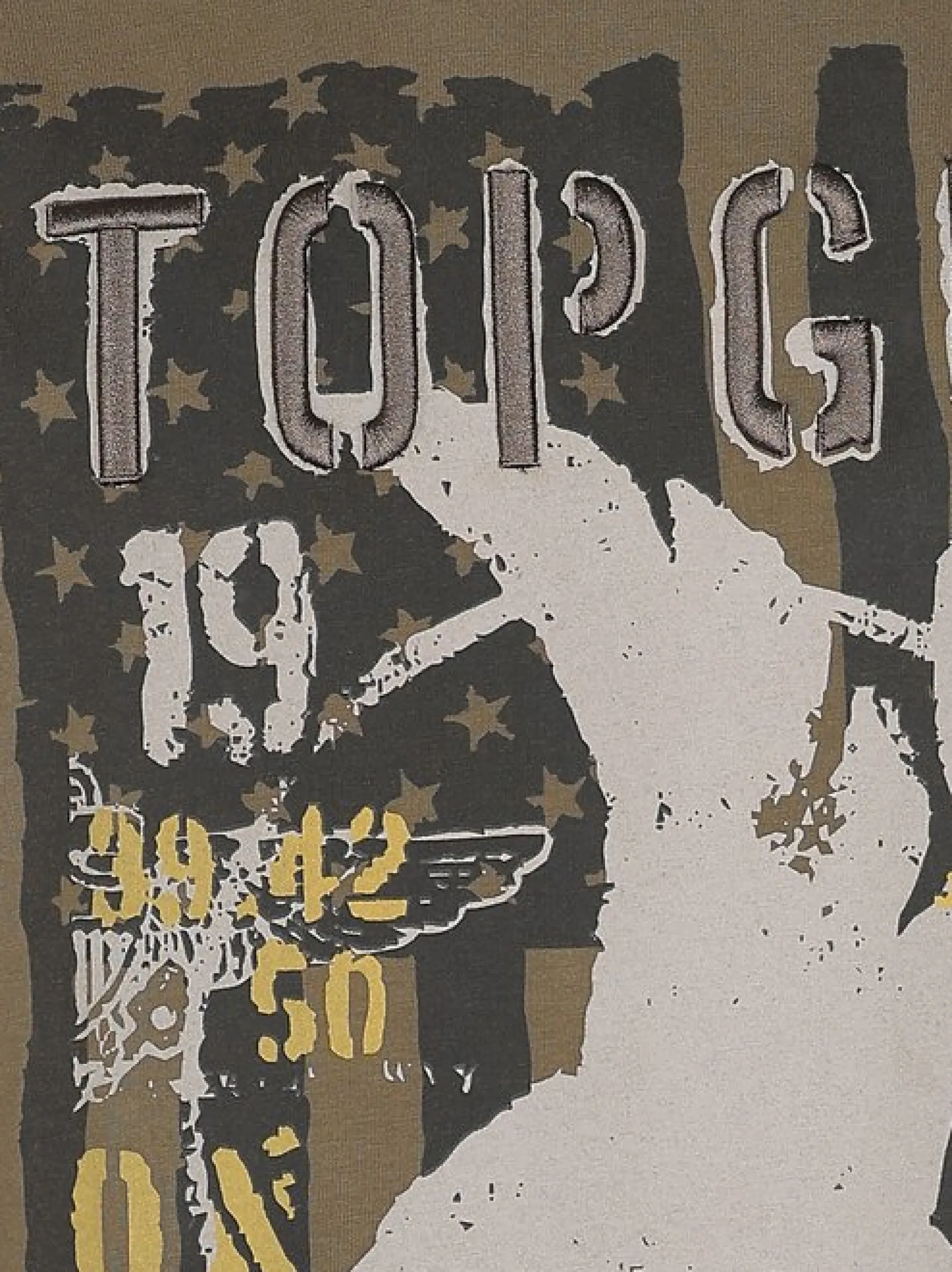 Topgun Herren T-Shirt in oliv